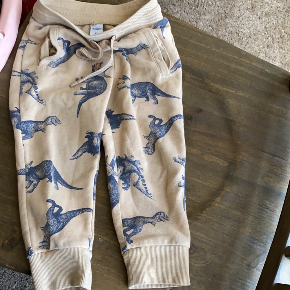 Boys Desert Dino Joggers